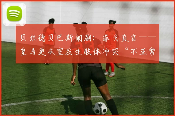 贝尔德贝巴斯闹剧：菲戈直言——皇马更衣室发生肢体冲突“不正常”_管理_西甲_国家