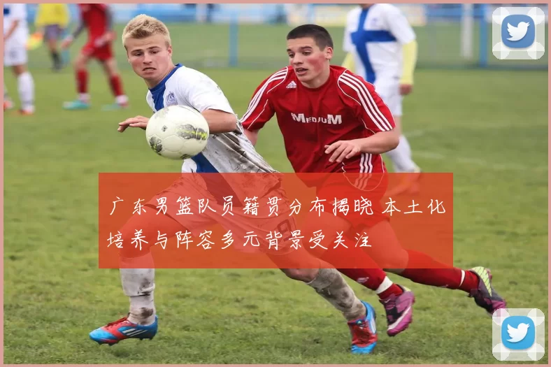 广东男篮队员籍贯分布揭晓 本土化培养与阵容多元背景受关注