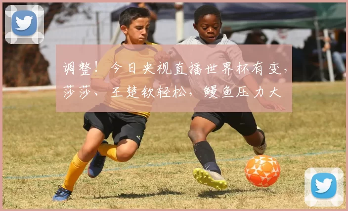 调整！今日央视直播世界杯有变，莎莎、王楚钦轻松，鳗鱼压力大