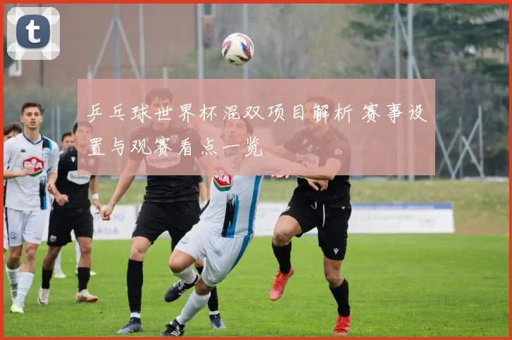 乒乓球世界杯混双项目解析 赛事设置与观赛看点一览
