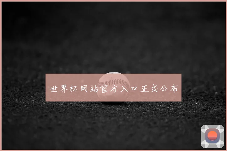 世界杯网站官方入口正式公布