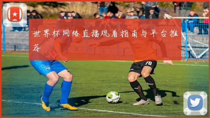 世界杯网络直播观看指南与平台推荐