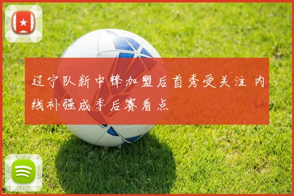 辽宁队新中锋加盟后首秀受关注 内线补强成季后赛看点