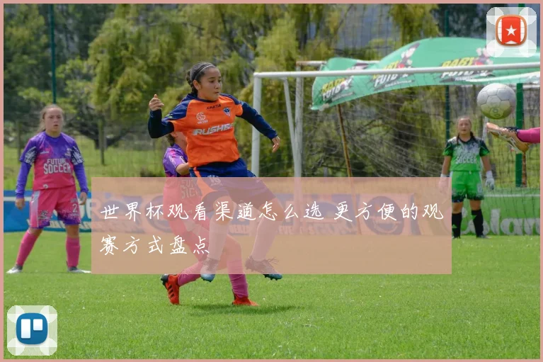 世界杯观看渠道怎么选 更方便的观赛方式盘点