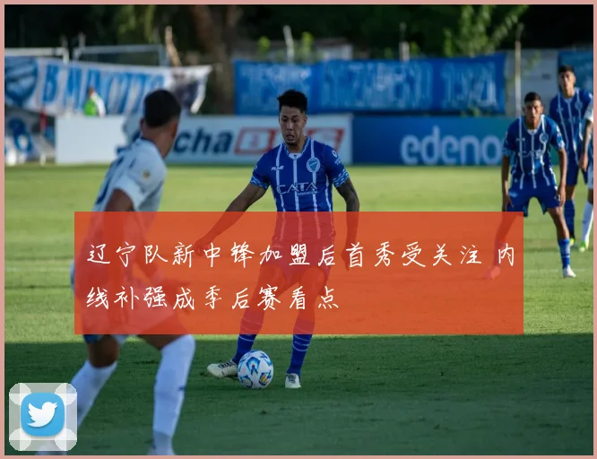 辽宁队新中锋加盟后首秀受关注 内线补强成季后赛看点