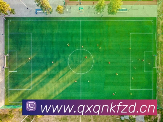 Kaiyun「中国」开云官方网站 - 登录入口APP 高清赛事图