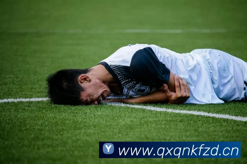 bsports官网地址全站App